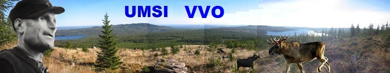 Umsi